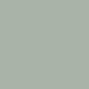 Color swatch of Cape Cod Gray.