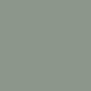 Color swatch of Coastal Sage.
