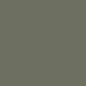 Color swatch of Deep Moss.
