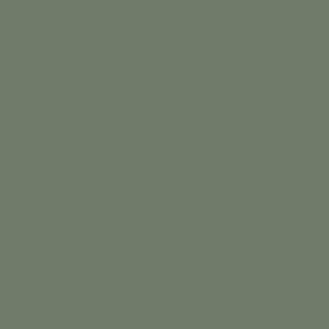 Color swatch of Mountain Fern.