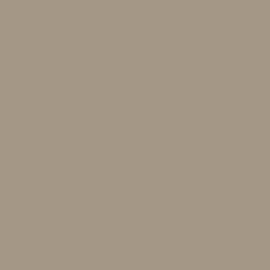 Color swatch of Tuscan Clay.