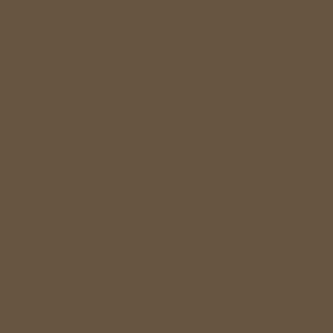 Architectural bronze paint swatch