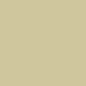 Beige paint swatch