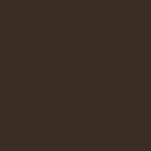 Bronze paint swatch