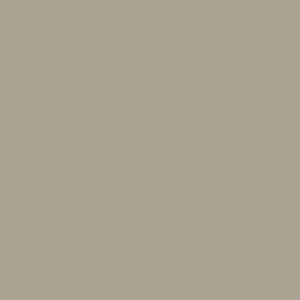 Color swatch of Canyon Clay.