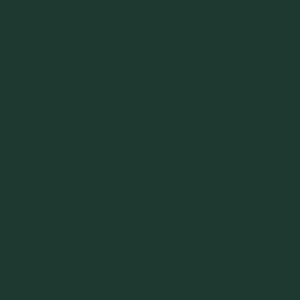 Green paint swatch