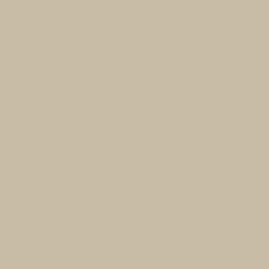 Tan vinyl swatch