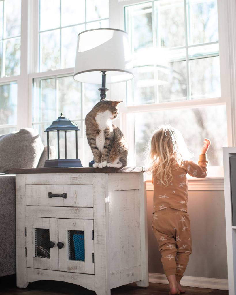 Toddler and cat looking out a sunny grid window