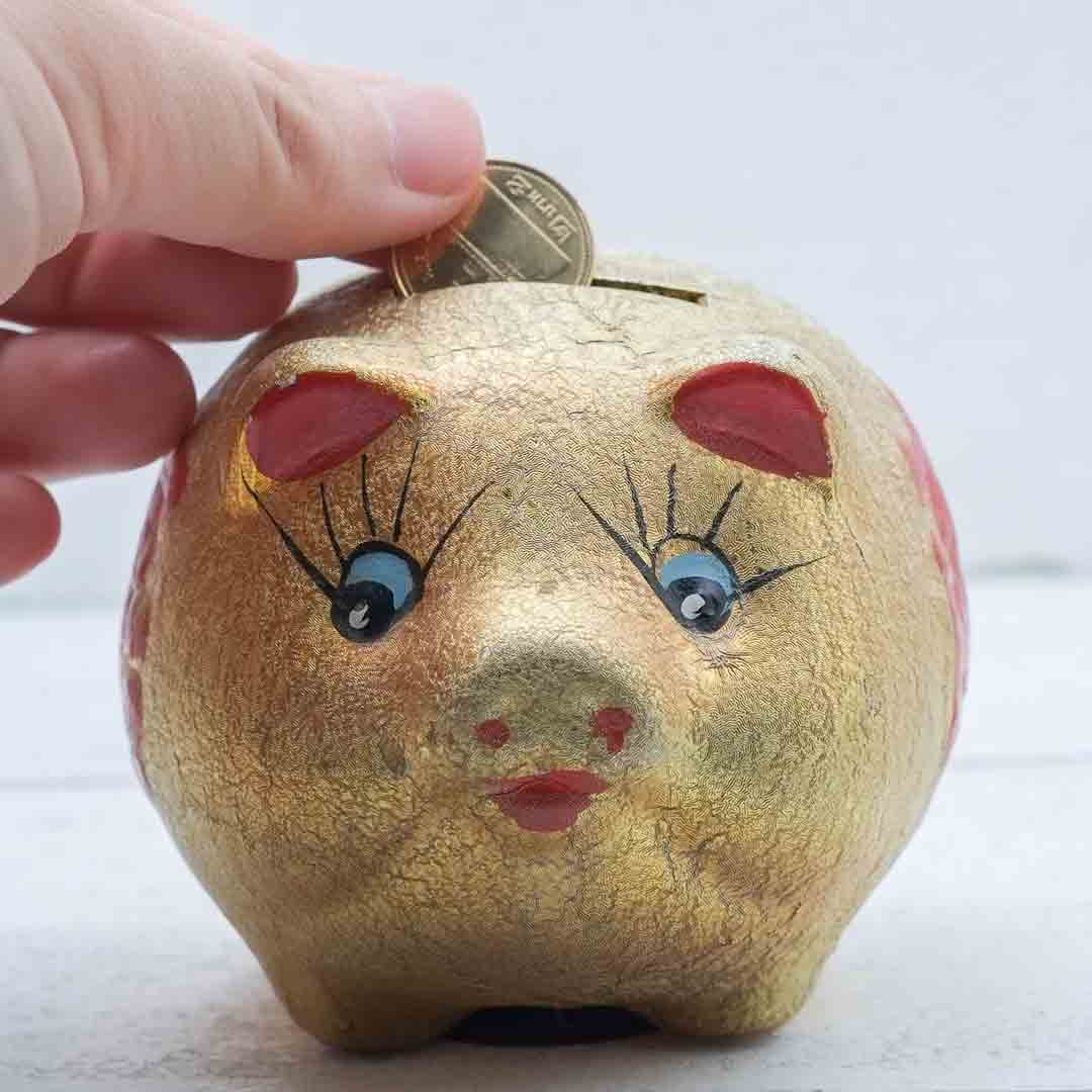 Piggy Bank hand putting coin into piggy bank