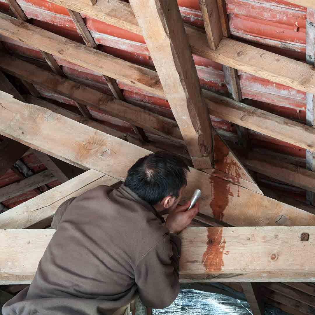 Attic Inspection person inspecting attic rafters
