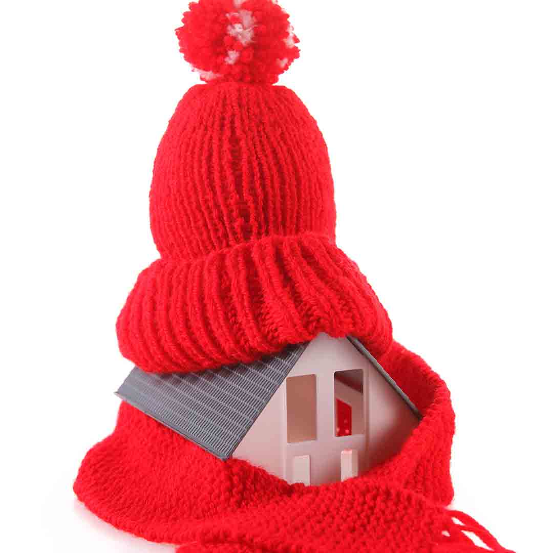 Energy Efficient Home house wearing hat and scarf