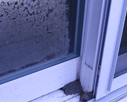 Broken window seals can cause window condensation Broken window seals can cause window condensation