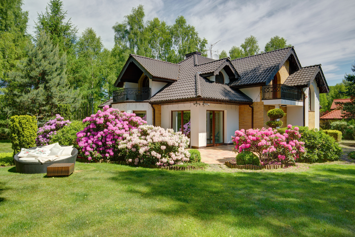 A house with scallop shaped roofing shingles and large flowering bushes in the landscaping.
