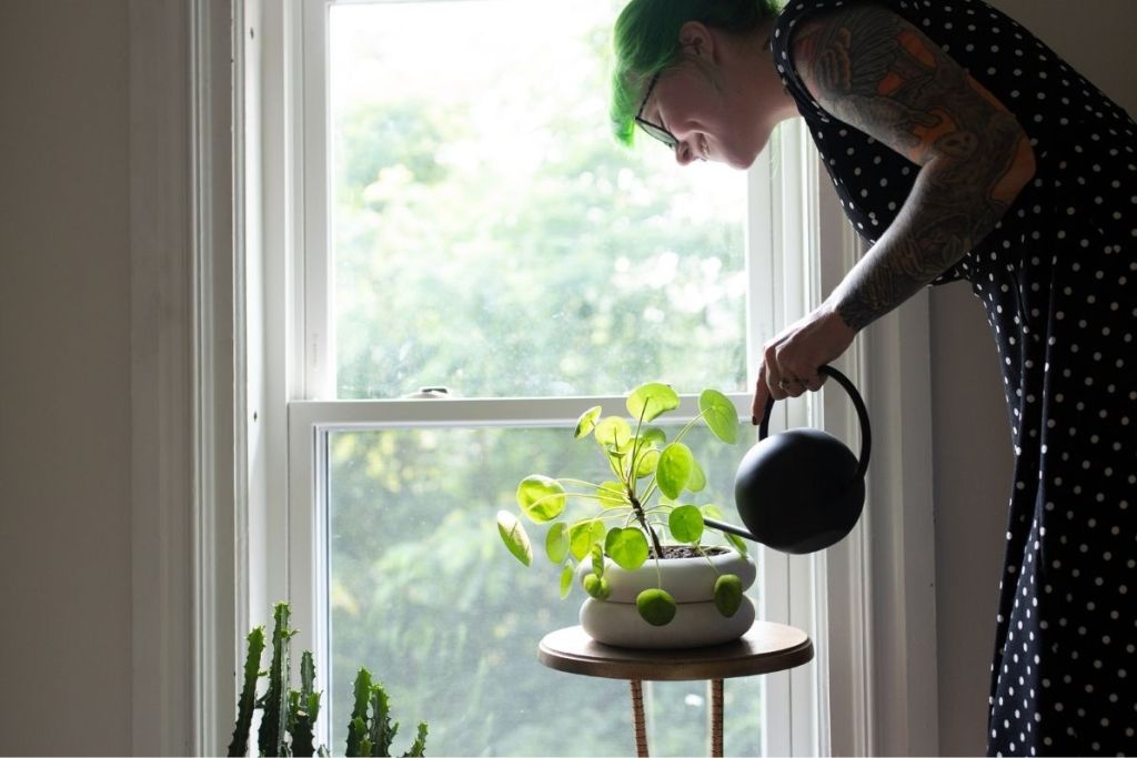A woman waters her houseplant in front of a window.
