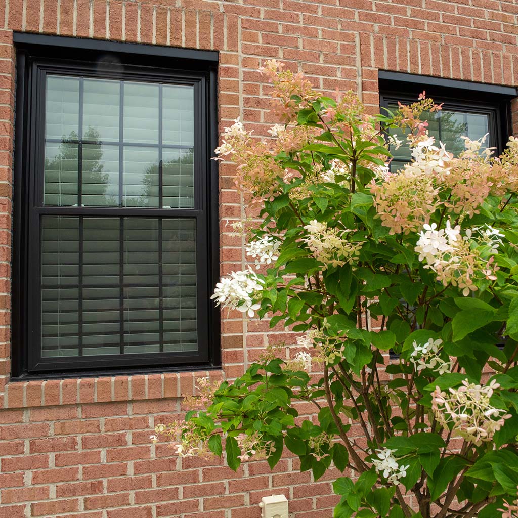 A window installer replacing a window