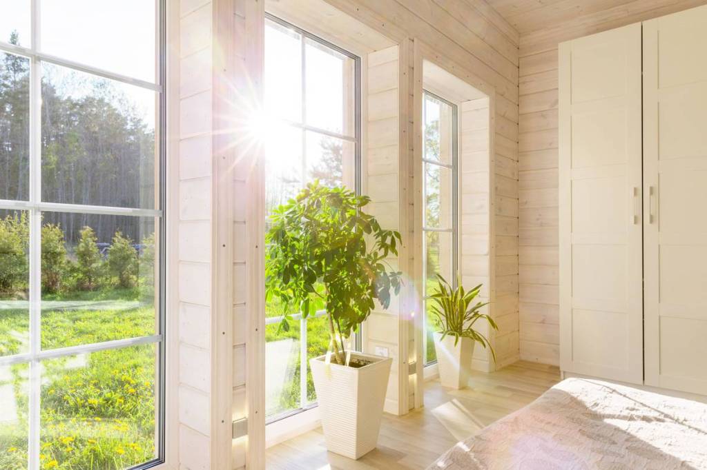 Sunlit room with tall white windows, plants, and whitewashed wood walls